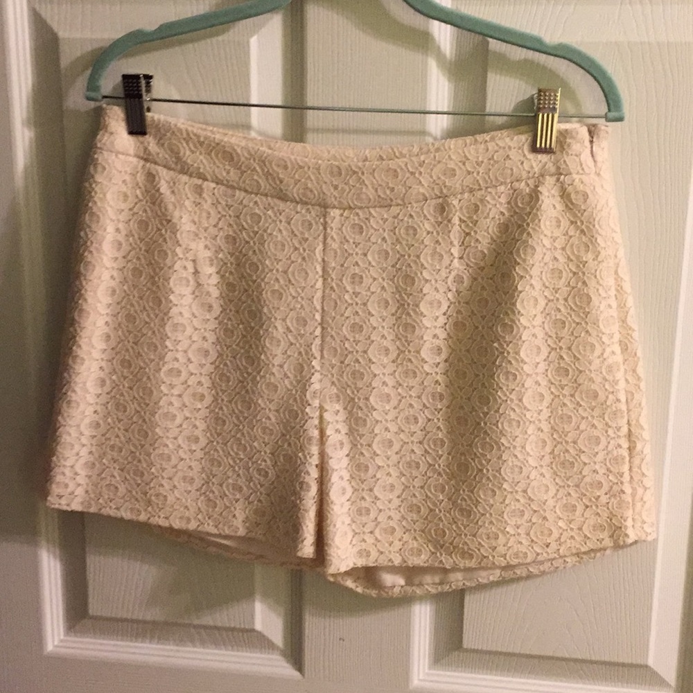 Gianni Bini Lace shorts